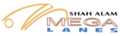 MLSA Logo